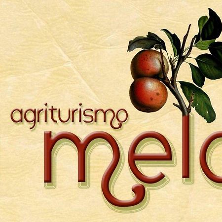 Agriturismo Il Melo Valfabbrica Exteriör bild