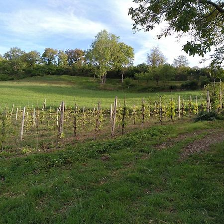 Agriturismo Il Melo Valfabbrica Exteriör bild