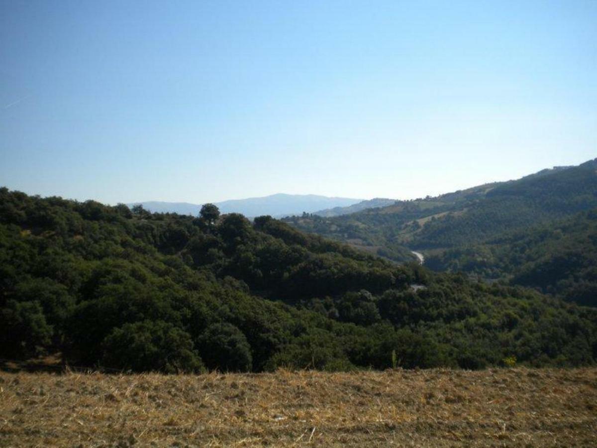 Agriturismo Il Melo Valfabbrica Exteriör bild
