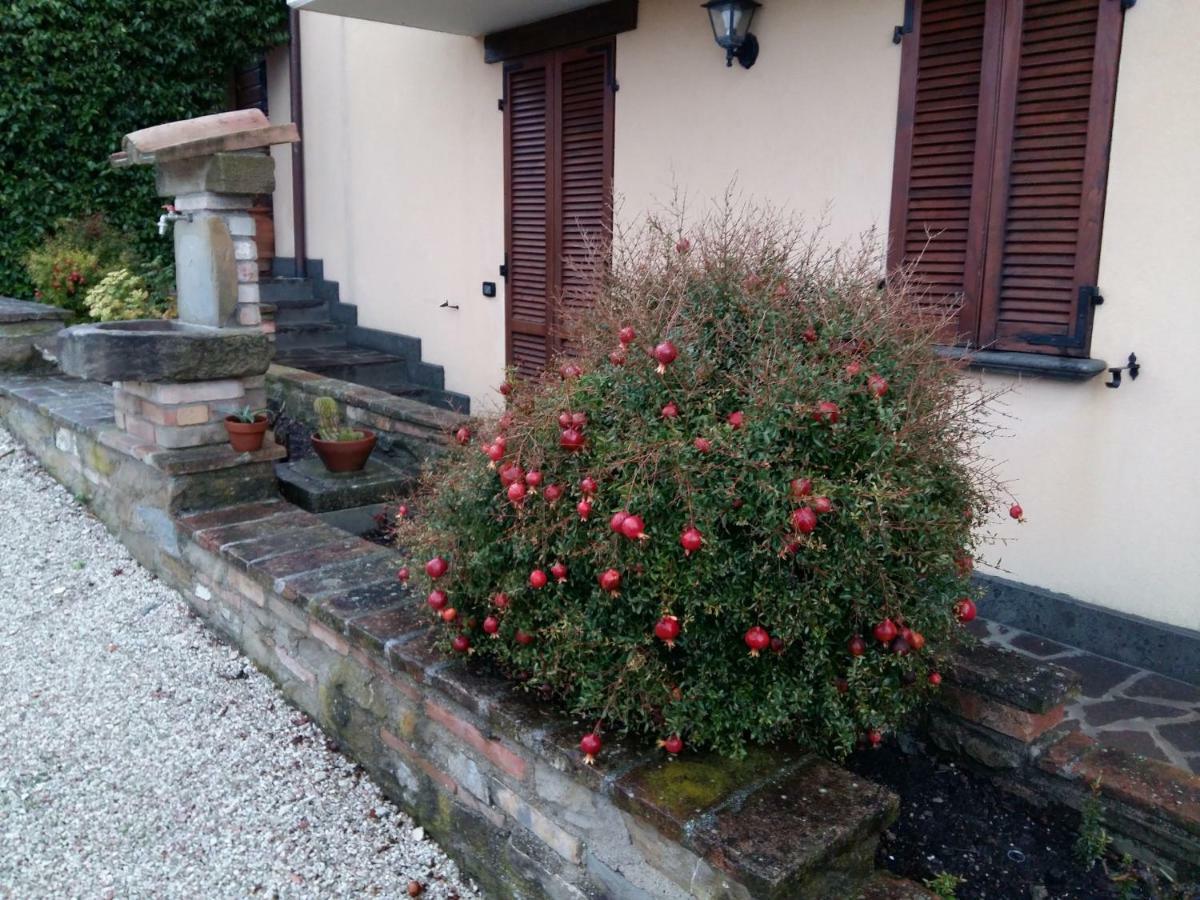 Agriturismo Il Melo Valfabbrica Exteriör bild