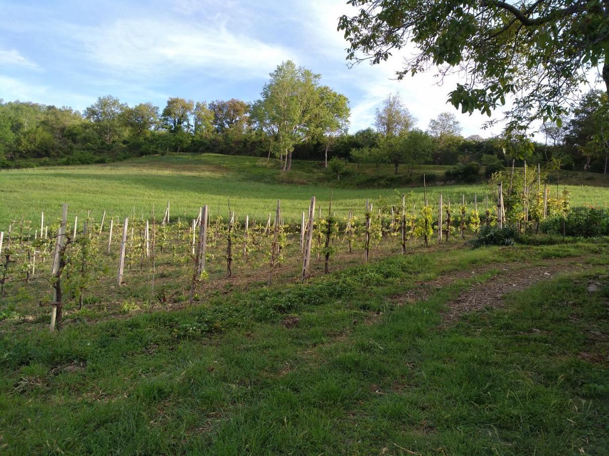 Agriturismo Il Melo Valfabbrica Exteriör bild